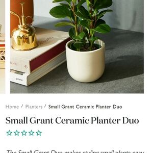 1 Small Grant Ceramic Planter - Cream from THE SILL